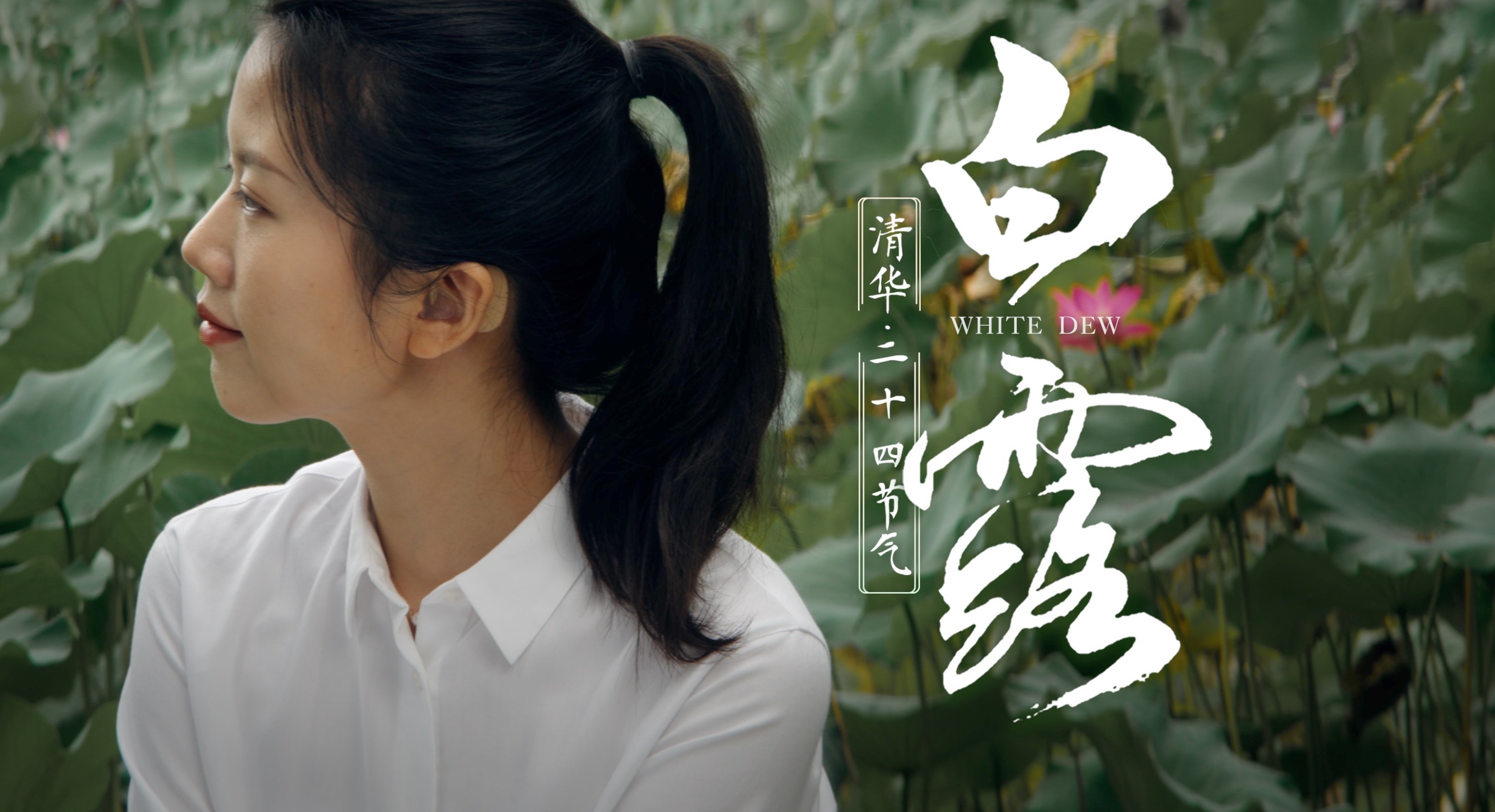 清华二十四节气系列 -《白露》