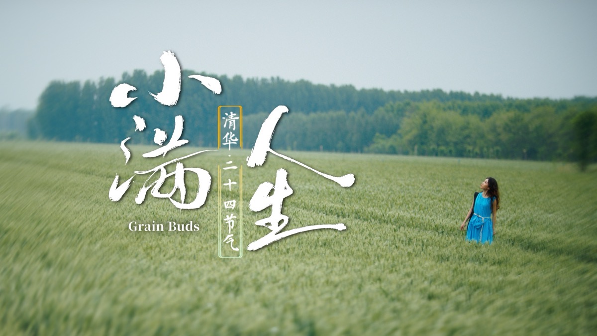清华大学二十四节气系列-《小满》