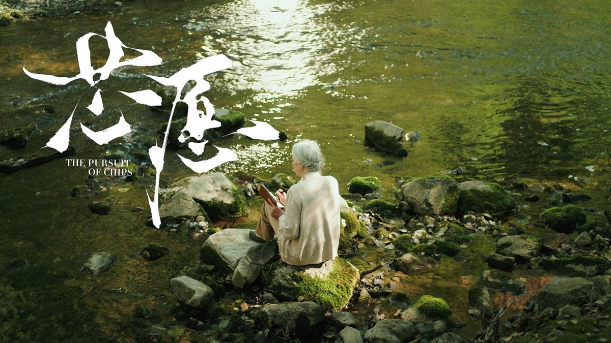芯愿